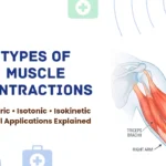 Types of Muscle Contractions including Isometric, Isotonic and Isokinetic with clinical application examples
